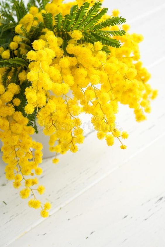 6c75beece54ad991bb7929664d56823c.jpg