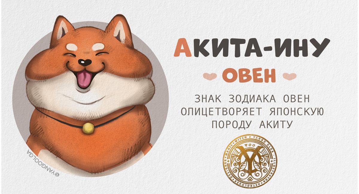 akita.jpg