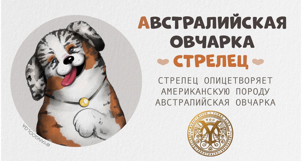 avstraliyskaya.jpg