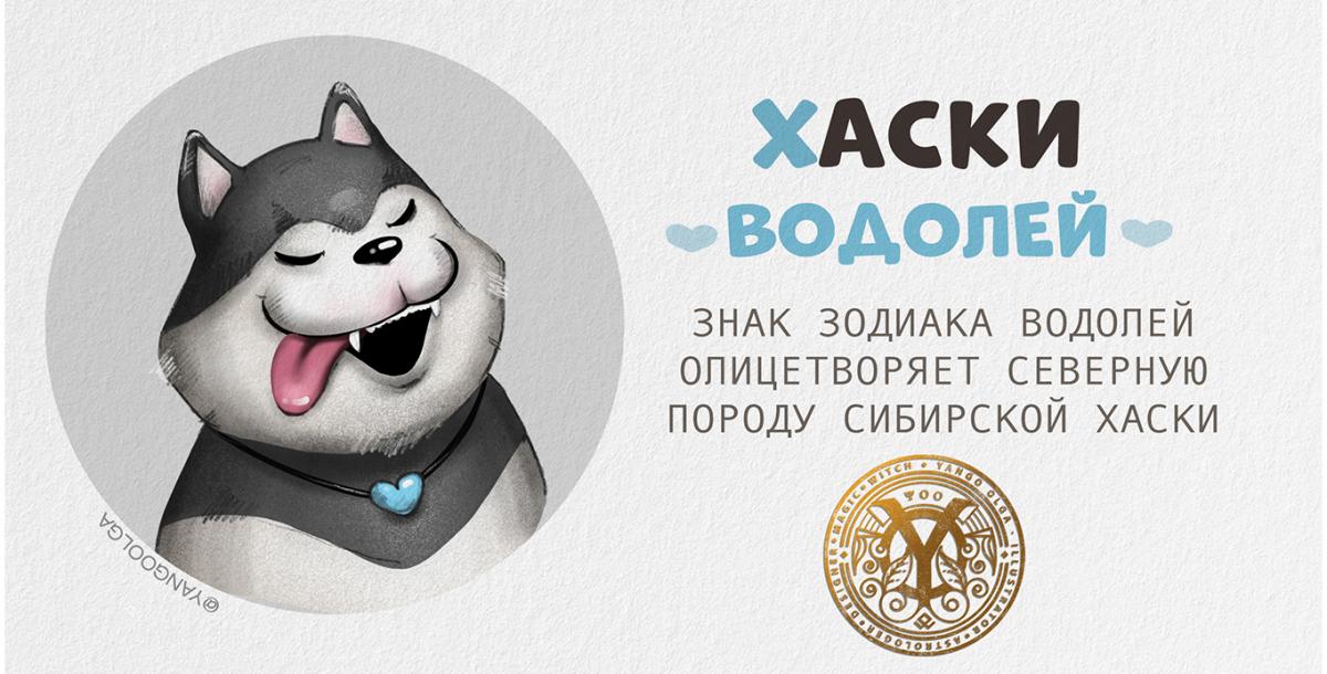haski.jpg