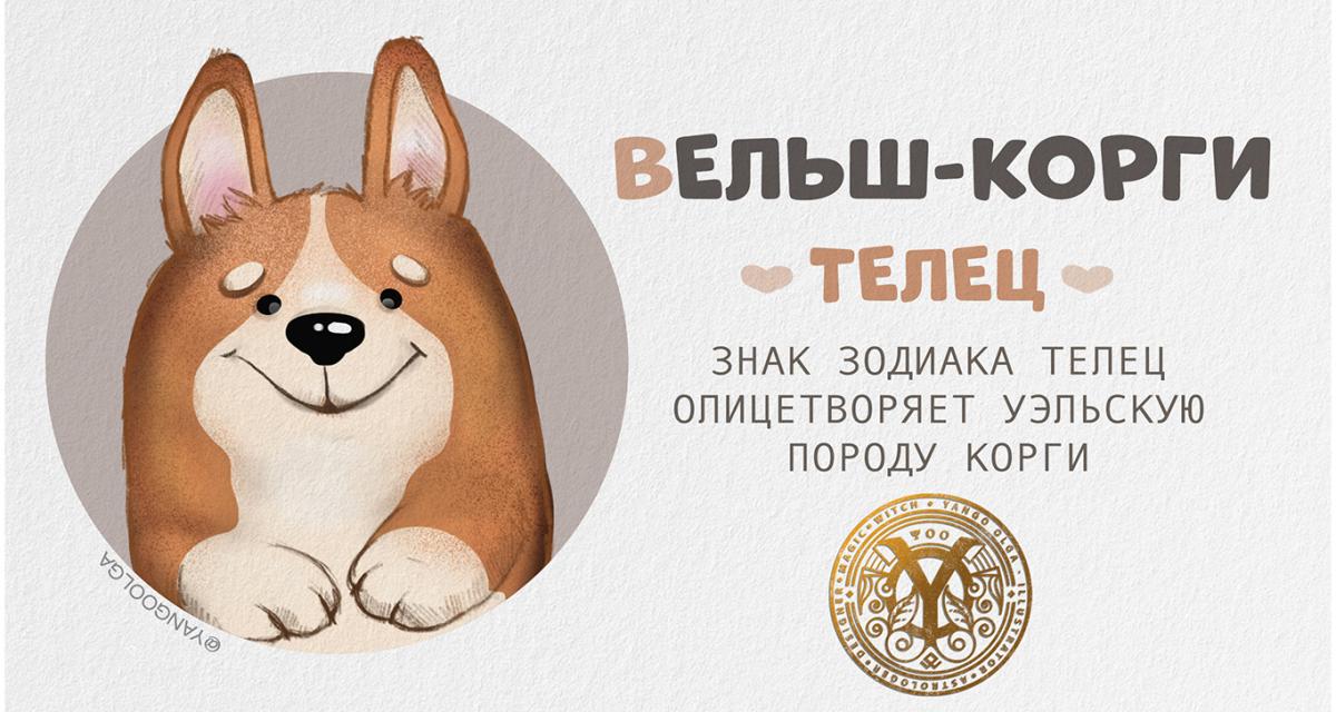 korgi.jpg