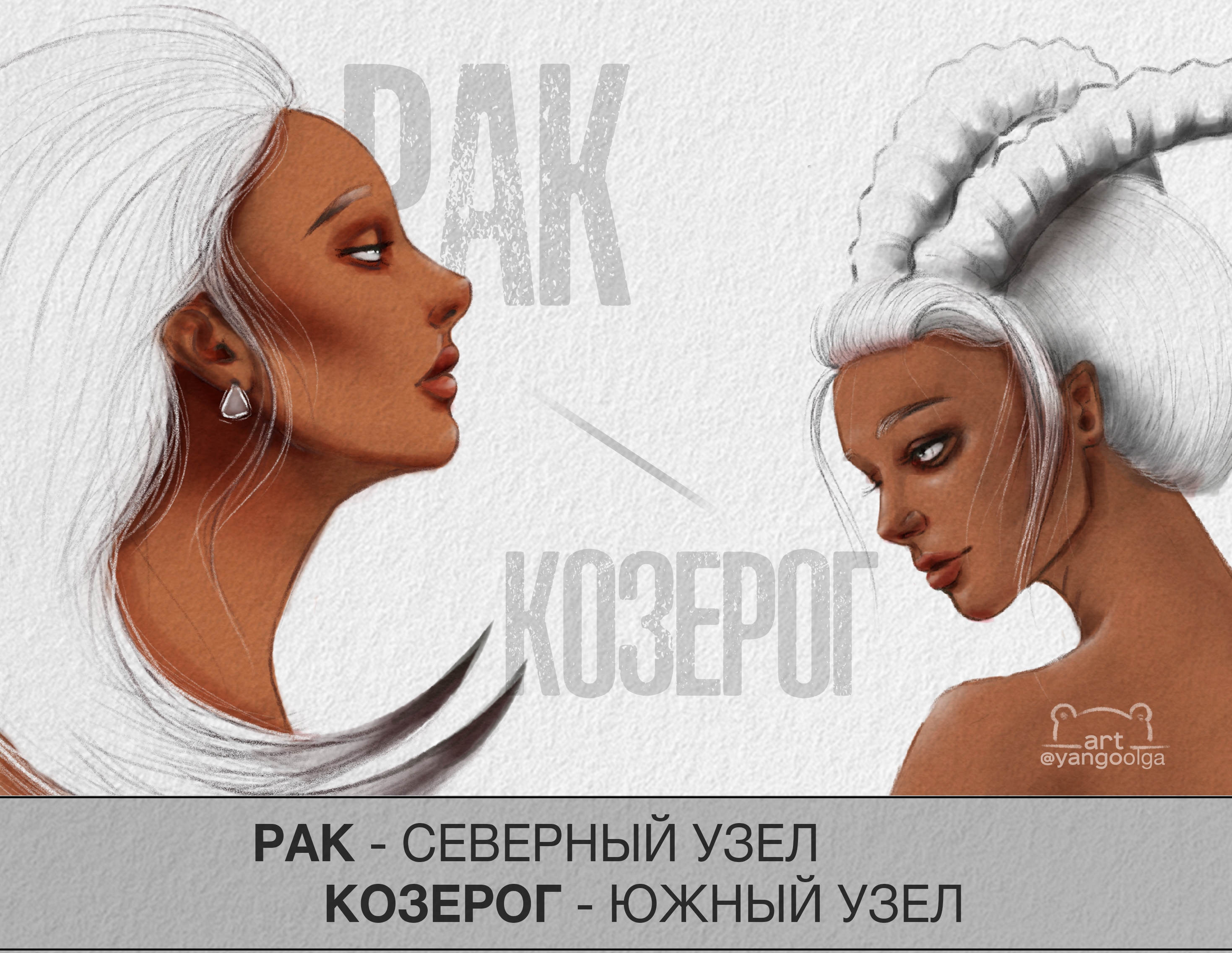 Северный в раке